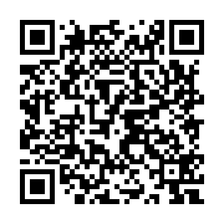 QR code for YZH919