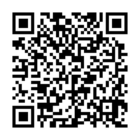 QR code for YZJ387