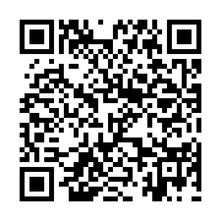 QR code for YZL313
