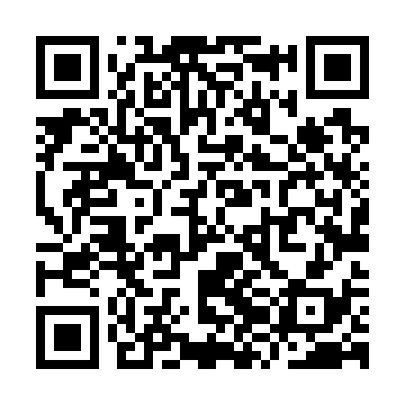 QR code for YZL738