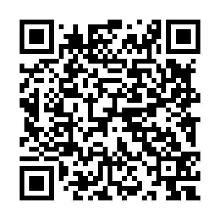 QR code for YZL833