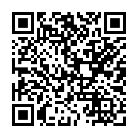 QR code for YZL991