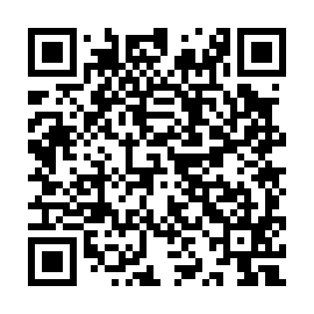 QR code for YZO095