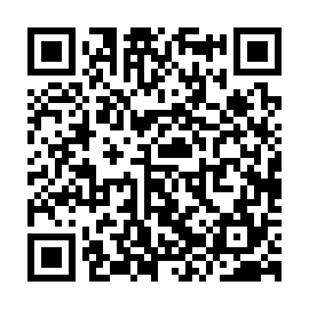QR code for YZP374