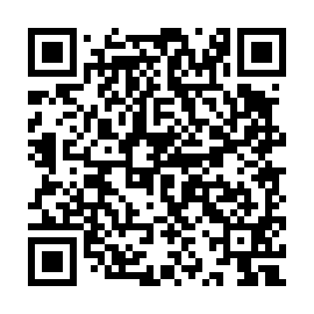 QR code for YZP491