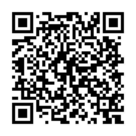 QR code for YZP511