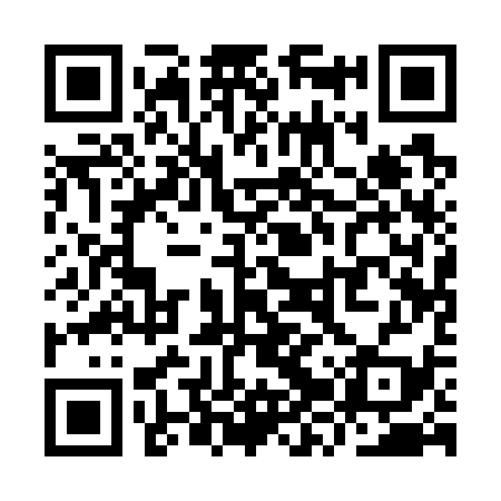 QR code for YZQ739