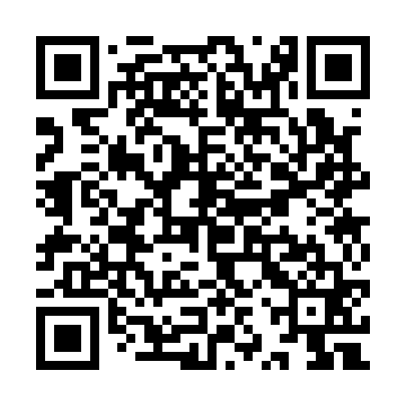 QR code for YZS161