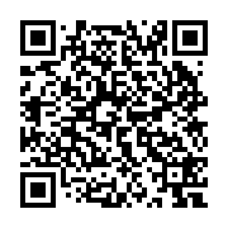 QR code for YZS228