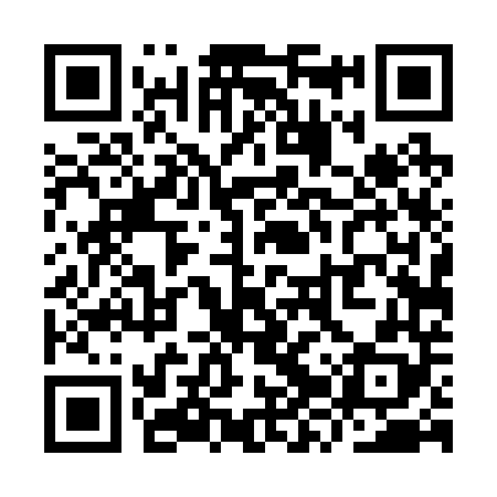 QR code for YZT248