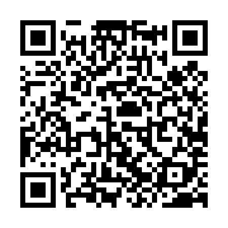 QR code for YZT489