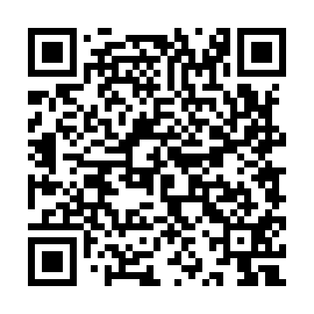 QR code for YZT911
