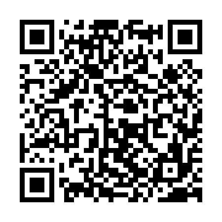 QR code for YZV016