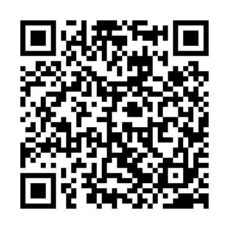 QR code for YZV213