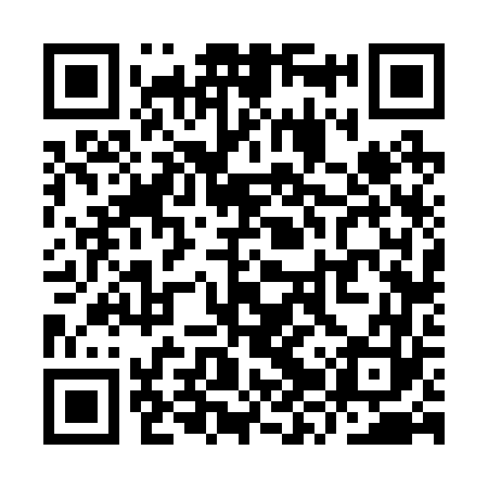 QR code for YZV263