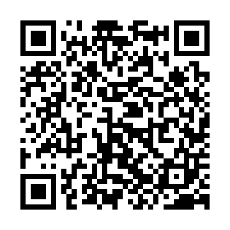 QR code for YZV303