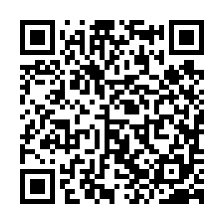 QR code for YZZ695