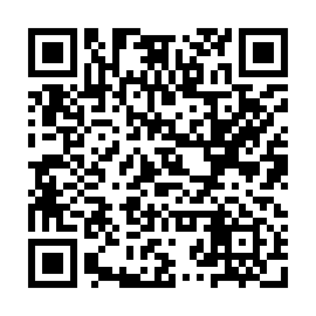 QR code for YZZ919