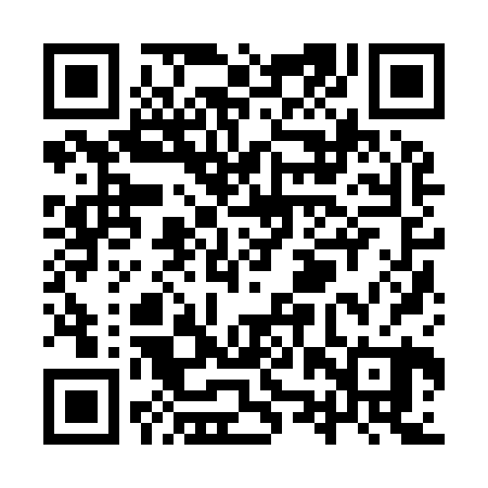QR code for YZZ920