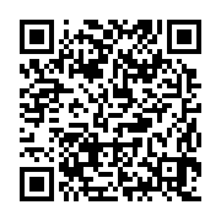 QR code for ZAB383