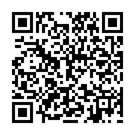 QR code for ZAI387
