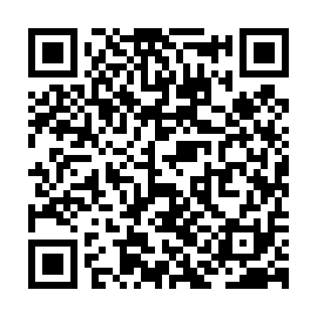 QR code for ZAI411