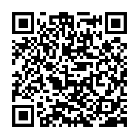 QR code for ZAI538