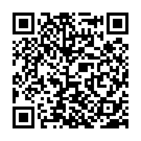 QR code for ZAM538