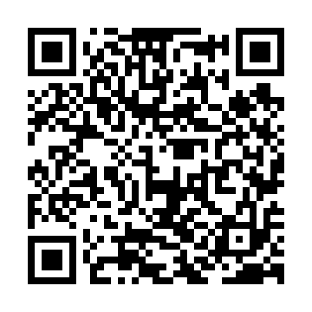 QR code for ZAN613