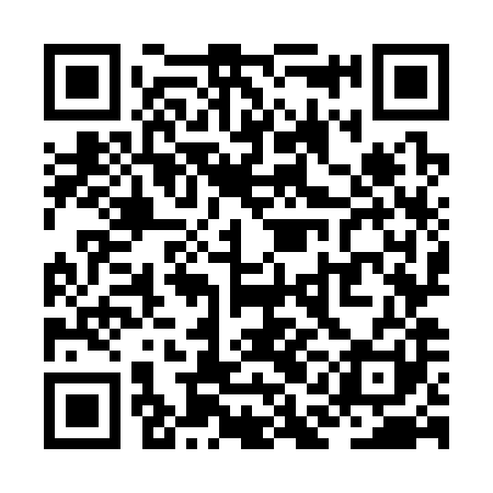 QR code for ZAO381