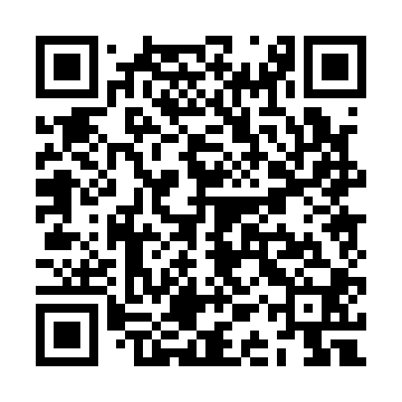 QR code for ZAP100