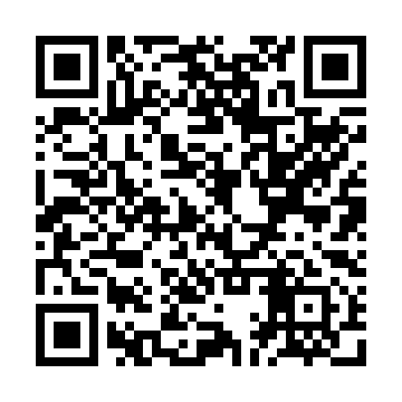 QR code for ZAR291