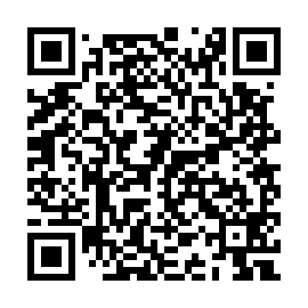 QR code for ZAR599