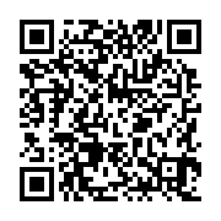 QR code for ZAX381