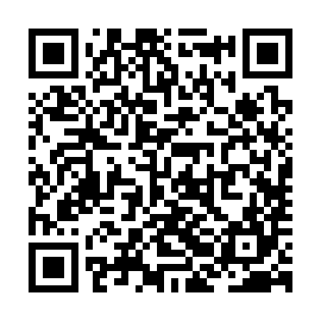 QR code for ZBB384