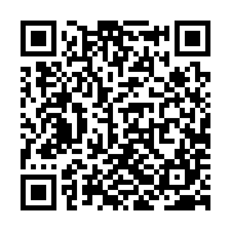 QR code for ZBD384