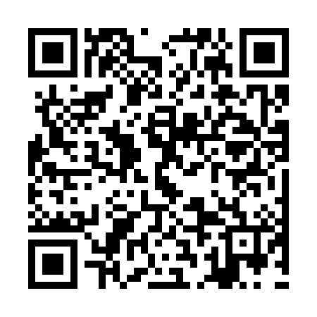 QR code for ZBF386
