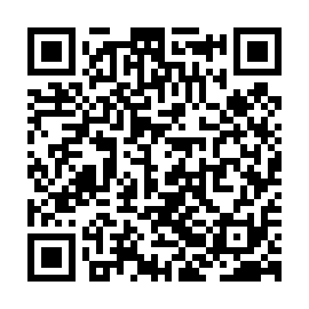 QR code for ZBG411