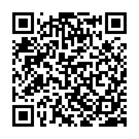QR code for ZBG950