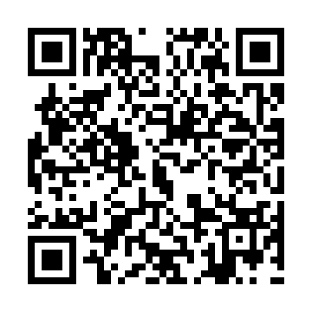 QR code for ZBK333