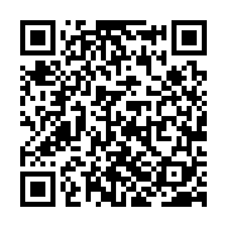 QR code for ZBL369