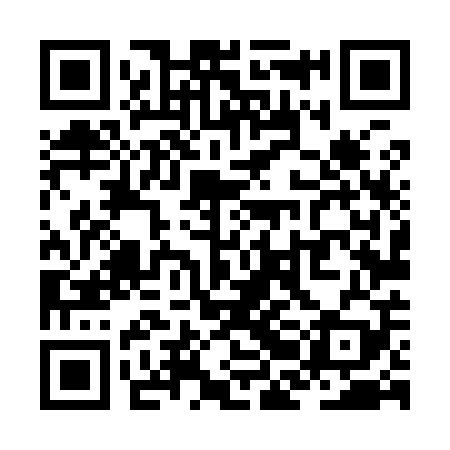 QR code for ZBL909