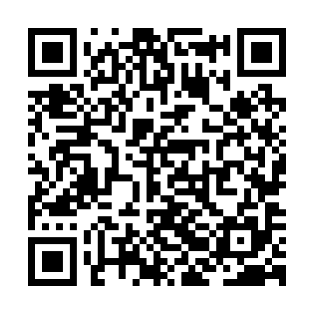 QR code for ZBN295