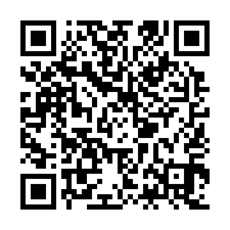 QR code for ZBN311
