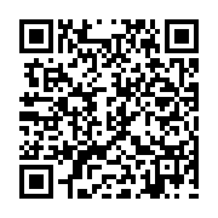 QR code for ZBU333