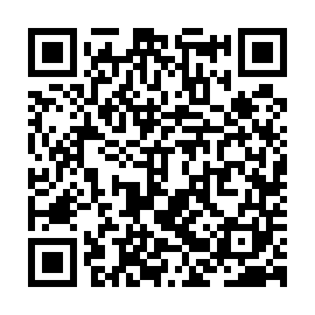 QR code for ZBV541