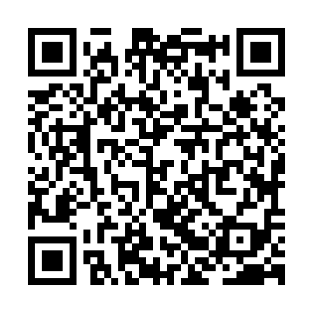 QR code for ZBZ119
