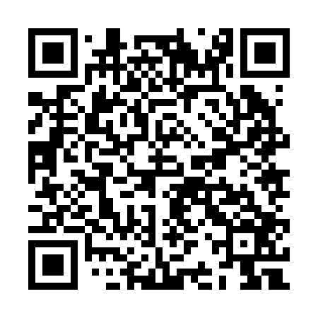 QR code for ZBZ206
