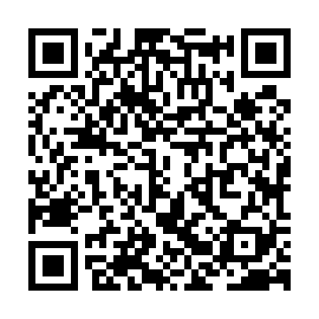 QR code for ZBZ529