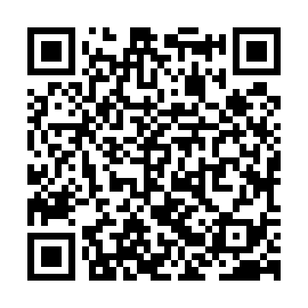 QR code for ZBZ539